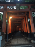 京都 伏見稲荷